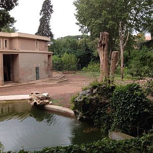 Rome Zoo Asian Elephant Exhibit