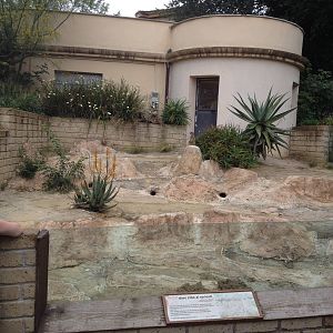 Slender Tailed Meerkat Enclosure