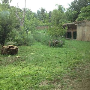 Chimp Exhibit