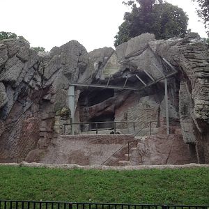 Siberian Tiger Enclosure