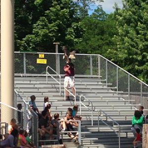7/9/2014 - Birds of Prey Show - Trainer with Bald Eagle