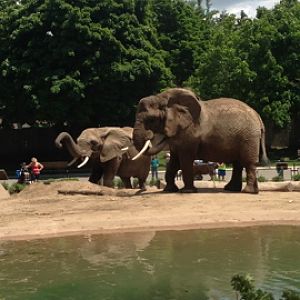 7/9/2014 - Brittany and Ruth