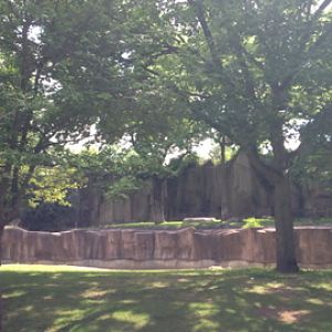 7/9/2014 - Cheetah Exhibit