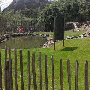 Australian enclosure