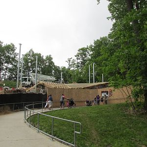 Tigers of the Realm Phase 2 Construction