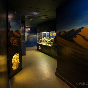 Discovery Centre : Whipsnade : 18 Jul 2014