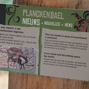 Impala sign