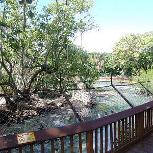 Crocodile Enclosure at Miami Seaquarium, 16/10/13
