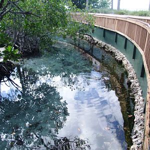 Sea Turtle Enclosure at Miami Seaquarium, 16/10/13