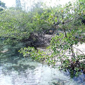 Sea Turtle Enclosure at Miami Seaquarium, 16/10/13