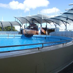 Top Deck Dolphin Show Stadium at Miami Seaquarium, 16/10/13