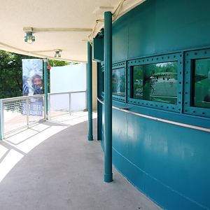Tropical Tank Viewing at Miami Seaquarium, 16/10/13