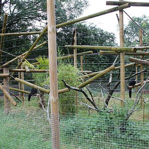 Saki Enclosure