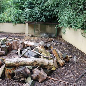 Pocupine/Meerkat Enclosure