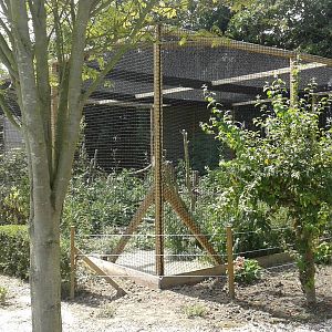 New snowy owl aviary