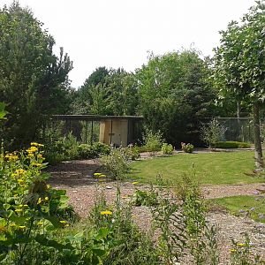 Another view in the park