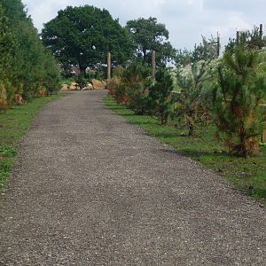 Possible entrance to the Polar bears