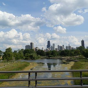 View of Downtown Chicago from Zoo Boardwalk