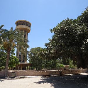 Observation tower, July 2014.