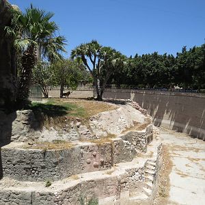 Outdoor lion enclosure, July 2014.