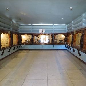 Reptile house interior, July 2014.