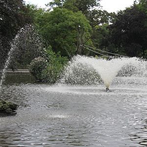 Fountains in the main pond.
