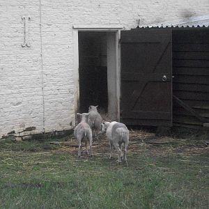 Retiring for the evening? 19th July 2014