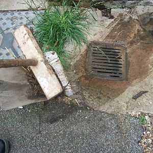 The finishing touch to the mucking out, 20th July 2014