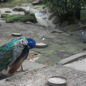 And another one, 20th July 2014