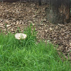 All it needs is a gnome, 20th July 2014