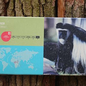 Spot the name change