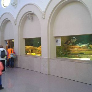 View in the aquarium hal