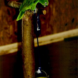 Bubba, September 2013