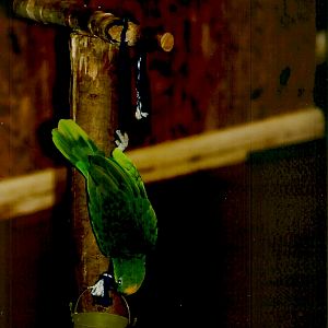 Bubba, September 2013