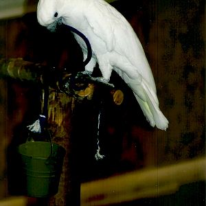 Chucky, September 2013