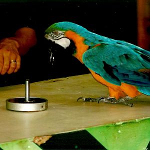 Tyler, September 2013