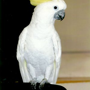 Chucky, September 2013