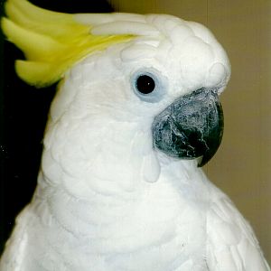 Chucky, September 2013