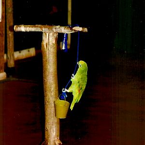 Bubba, September 2013