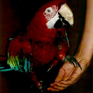 Fred, September 2013