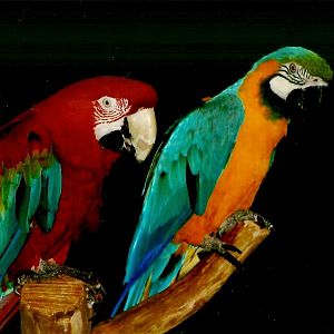 Fred and Tyler, September 2013