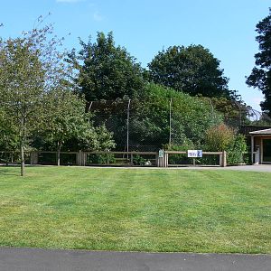 Tiger Viewing at Chester, 23/07/14