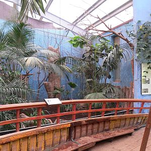 Hornbill Aviary at Chester, 23/07/14