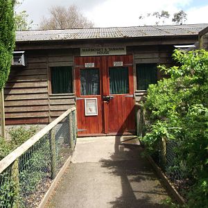 Exterior Marmoset and Tamarin House 12/4/2014