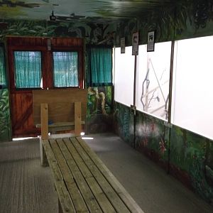 Interior Marmoset and Tamarin House 12/4/2014
