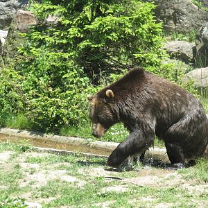 The right choice on a hot day