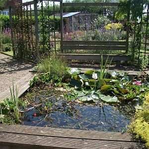 In front of my picnic spot, 24th July 2014