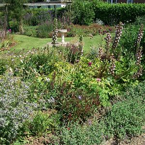 In the gardens, 24th July 2014
