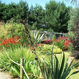 In the gardens, 24th July 2014