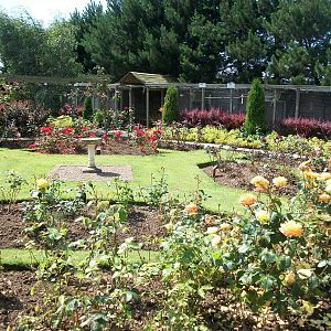 In the gardens, 24th July 2014